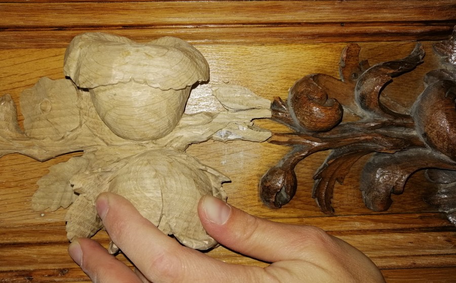 Ergänzung eines klassizistischen floralen Ornamentes aus Eiche im Palais Clam Gallas